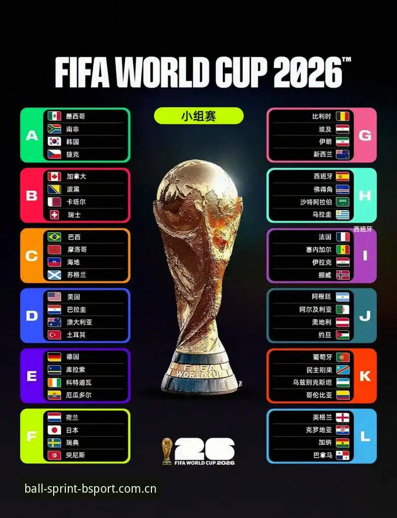 2026B体育注册入口 B体育官方版教你解读世界杯观赛障碍:签证风波背后的赛事体验攻略